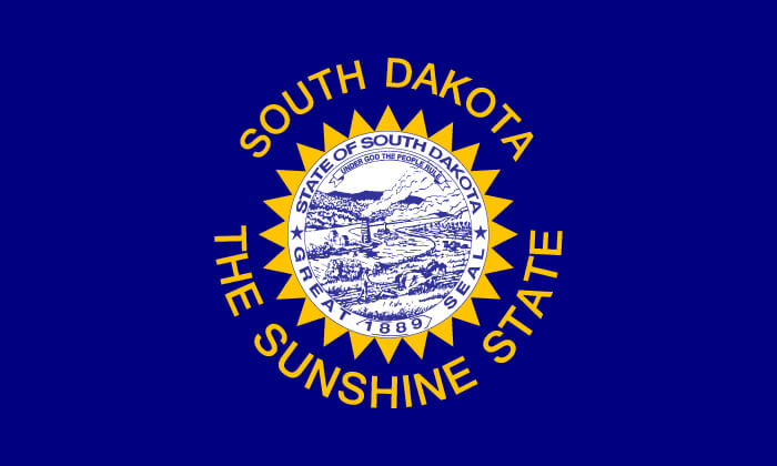 similar to the current version with a bicolor seal, but featuring a darker blue field and “The Sunshine State”